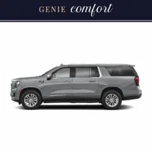 Genie Comfort Image