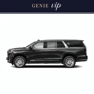 Genie VIP Image